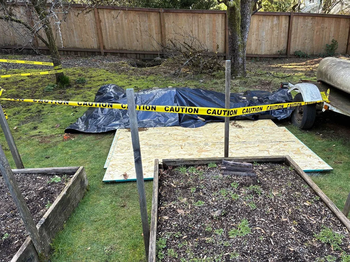 Protected yard area during sewer relining access work